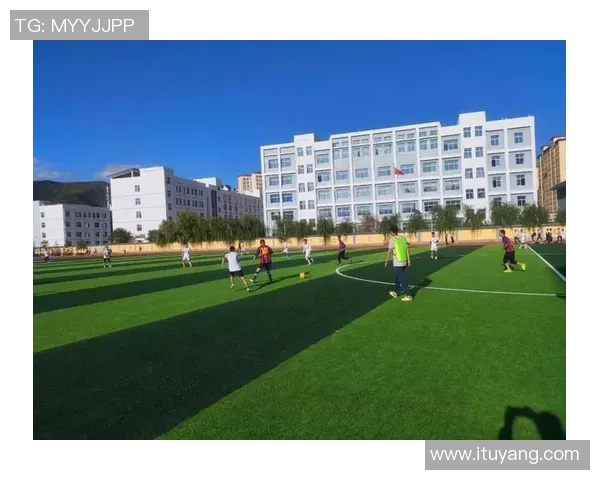 王芳独家解析足球技巧与战术心得分享助你提升球技与比赛表现