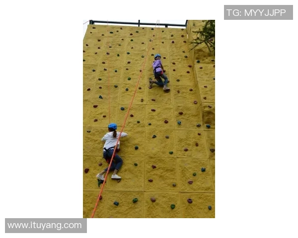 西安攀岩队区域防守分析与战术调整探讨